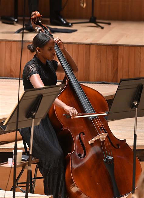 Double Bass Player Orchestra