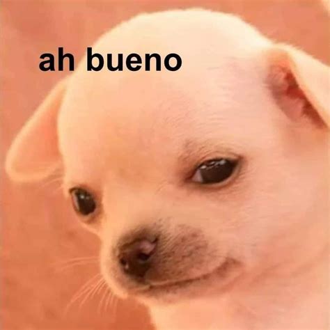 Funny Spanish Memes, Spanish Humor, Reaction Pictures, Funny Pictures ...