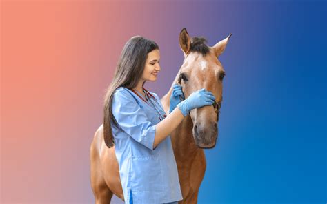 Equine Veterinary Technician Salaries - Suveto
