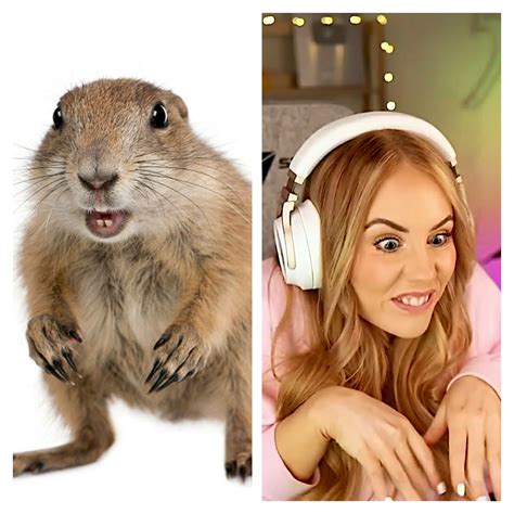 I don't see any difference between the two | Metincyphex : r ...