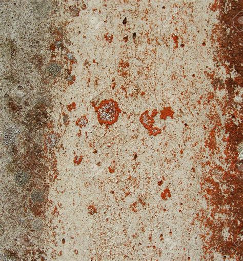 Red Mould In Bathroom Red Mold: Its Dangers And How To Remove Them