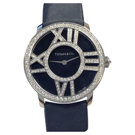 Watch Tiffany Starr Exclusive Porn Videos