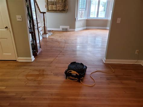Benefits of sandless wood floor refinishing - Professional Steam ...