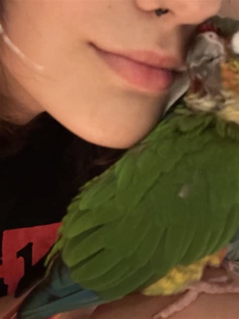 Why do birds smell so good omd : r/Conures