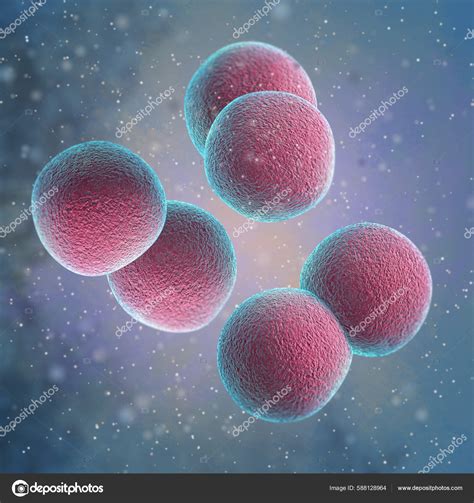 Medical Background Bacteria Cocci Diplococci Gram Negative Genus ...