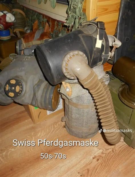 Competing the older horse? : r/Dressage