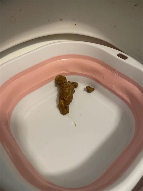 Bowel Mucus