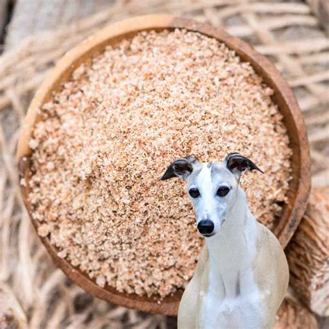 Are Dogs Allergic To Nutmeg
