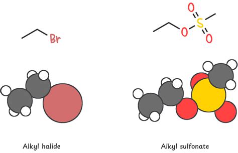 How to Predict the Products of E2 reactions - Zaitsev vs Hofmann