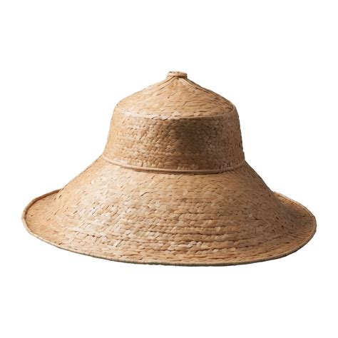 AI generated Chinese Rice Paddy Hat isolated on transparent background ...