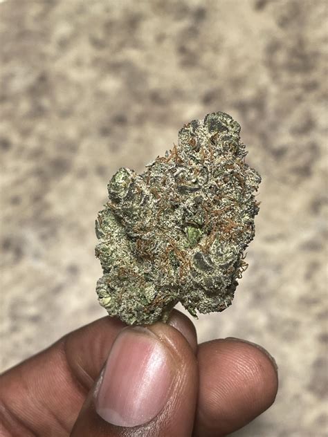 🎶College Park "Bubba" Sparkx🎶 This Bubba Kush is nothing less than ...