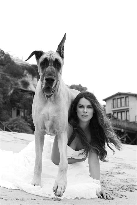 Big Dog Fashion at Hugo Bonita blog