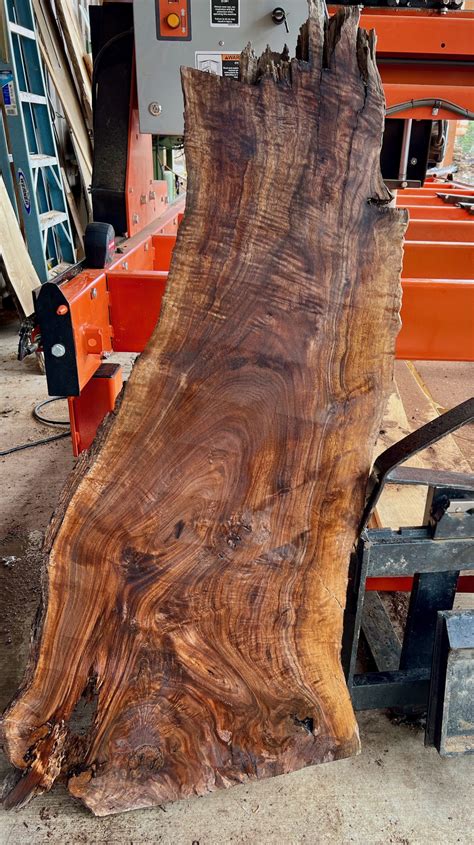 Walnut Wood Slab 46" x 19" x 1 3/4" - Frison-Logue Hardwoods