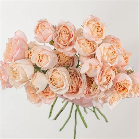 Peach Spray Rose Flower | DIY Wedding Flowers | Flower Moxie | Diy ...