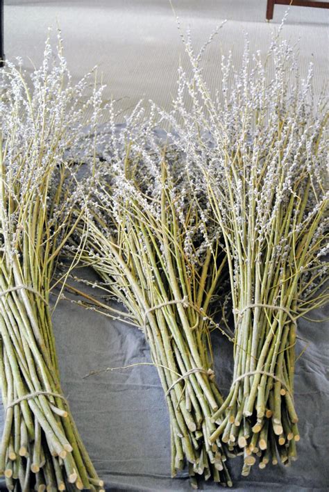 Pussy Willow Branches Centerpieces