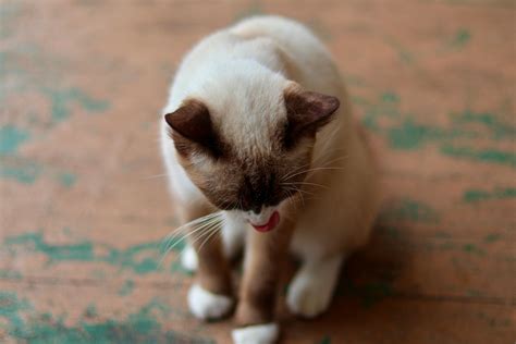 Only Fans Content Photos, Download The BEST Free Only Fans Content ...