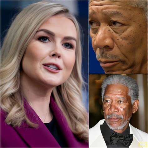 Fans Are Losing Their Minds After Karoline Leavitt Boldly Confronted ...