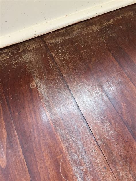 Bug Spray Left Yellow Spots on Hardwood Floor? | ThriftyFun