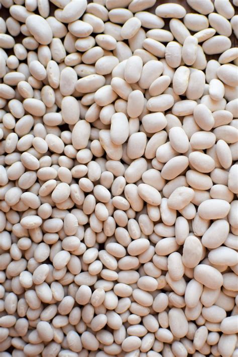 Navy Beans vs Great Northern Beans • The Incredible Bulks