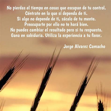 Inspirational Spanish Quotes on Wheat Stalks
