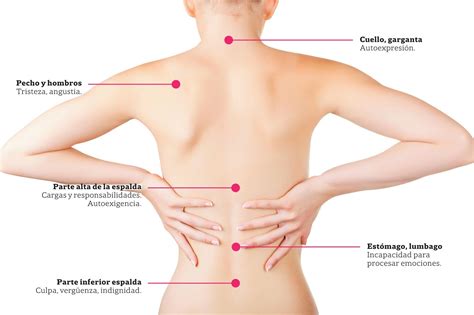 Descubre las PARTES de la ESPALDA baja - ¡¡RESUMEN + IMÁGENES!!