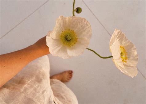 The Hidden Emotional Costs of Living with Your Parents – honeymallow