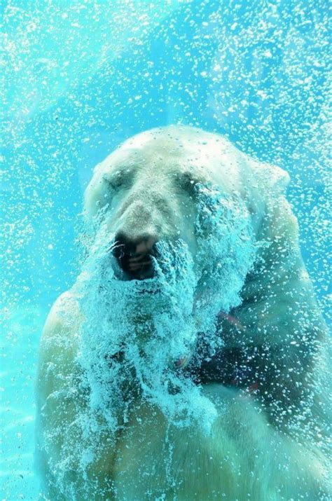 Close Up+Photographs+Of+Human+Penises Photos, Download The BEST Free ...