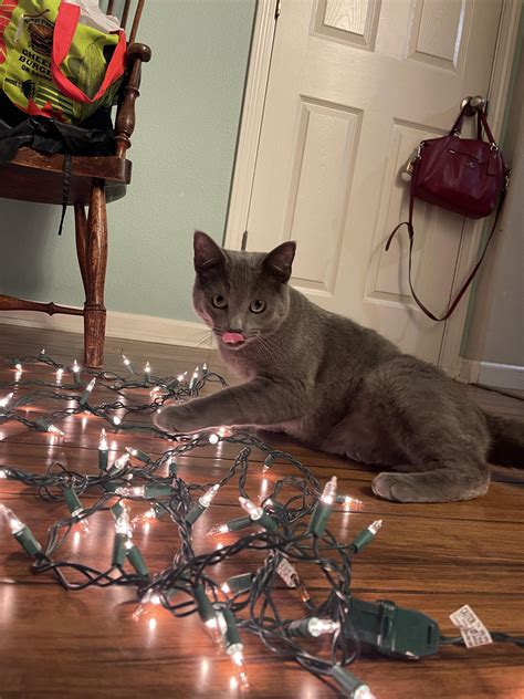 Charlotte G (u/charlottegodoy) - Reddit