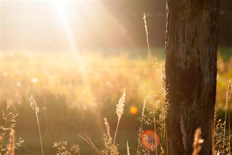 Caldwell & Cowan Funeral Home | Covington GA funeral home and cremation