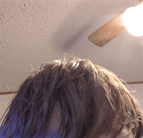 What's my Hair type? : r/Hair