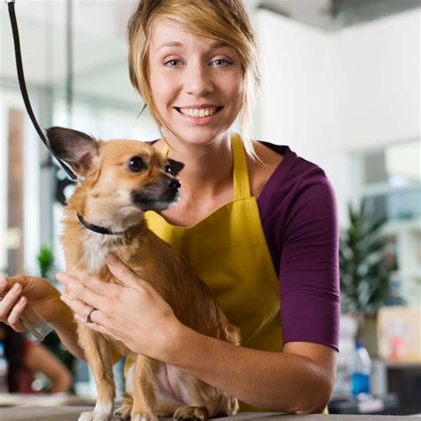 Pet Groomers Insurance | Alternative Balance®
