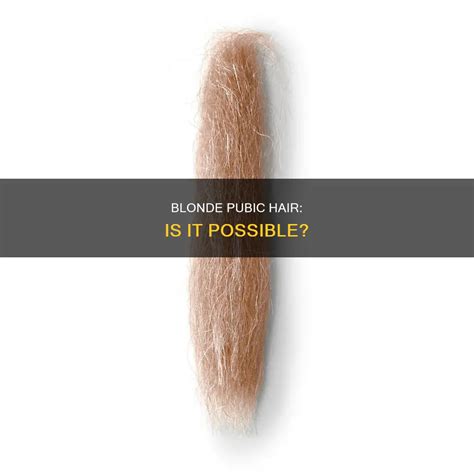 Blonde Pubic Hair: Is It Possible? | ShunSalon