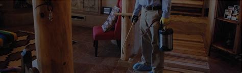 Termite Control Miami