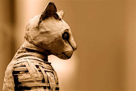 Damnatio Memoriae: Erasing History in Ancient Rome - Malevus