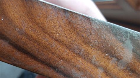 Lignum Vitae | The Wood Database (Hardwood)