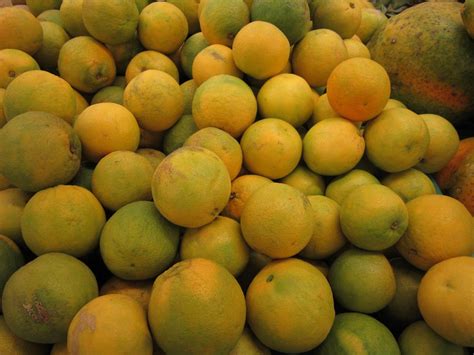 Mousambi - The Sweet Citrus Fruit of India