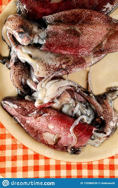 Fresh squids food stock image. Image of culinary, cooking - 133986539