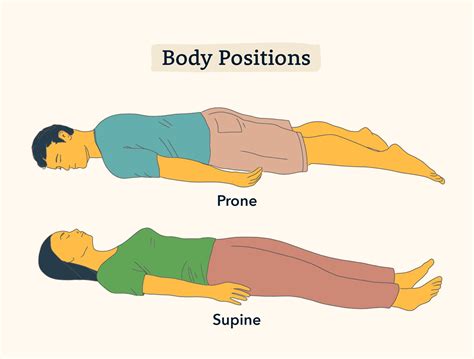 The Ultimate Guide to Scoring High on the HESI A2 Anatomy and ...