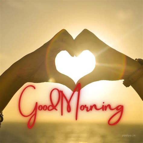 30+ Good Morning Purple Flowers Images - Good Morning Wishes