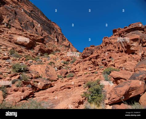Calico basin trail hi-res stock photography and images - Alamy