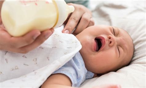 Breastfed baby refusing the bottle? Evidence-based study - Suzy Lane ...