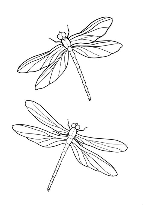 Pin by Jacquelines Jems on ART | Dragonfly drawing, Dragonfly tattoo design, Tattoo design drawings