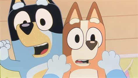 Take a look at bandit and chilli! They are noticeably younger in the ...