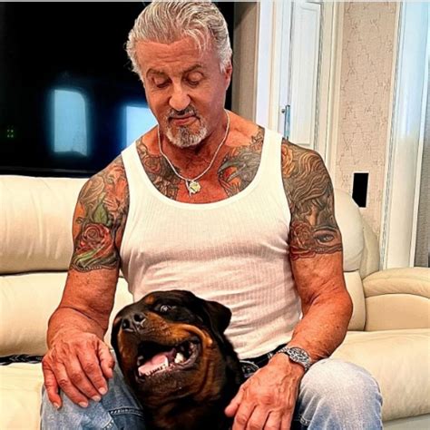 Sylvester Stallone Body Sylvester Stallone, Arnold Schwarzenegger