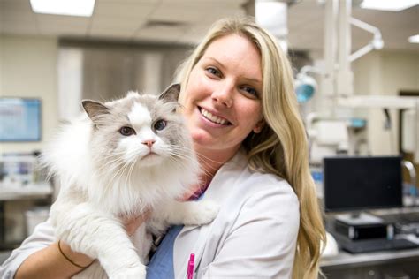 Your Career - New Veterinarian - AVMA My Veterinary Life