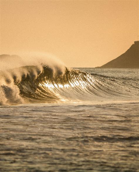 Big+Beautiful+Butts+In+Thongs Photos, Download The BEST Free Big ...