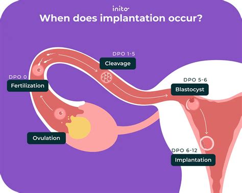 9 DPO: What to Know About Symptoms and Testing