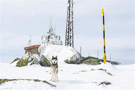 Amanda Cerny OnlyFans Leaks: What We Know and What’s Going Viral