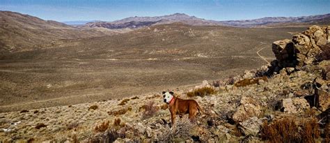 Elevation of Reno, NV, USA - MAPLOGS