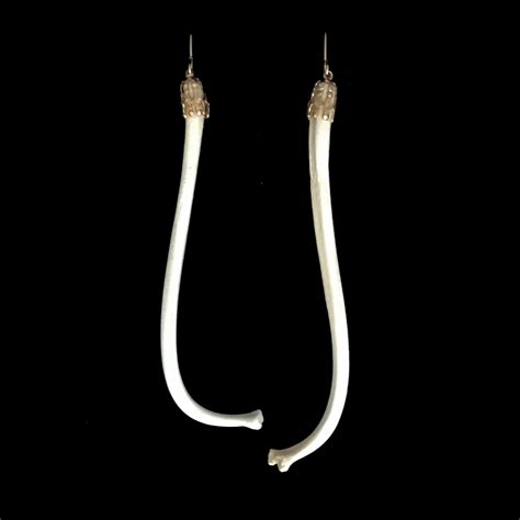 Raccoon penis bone earrings//raccoon baculum//LONG | Etsy